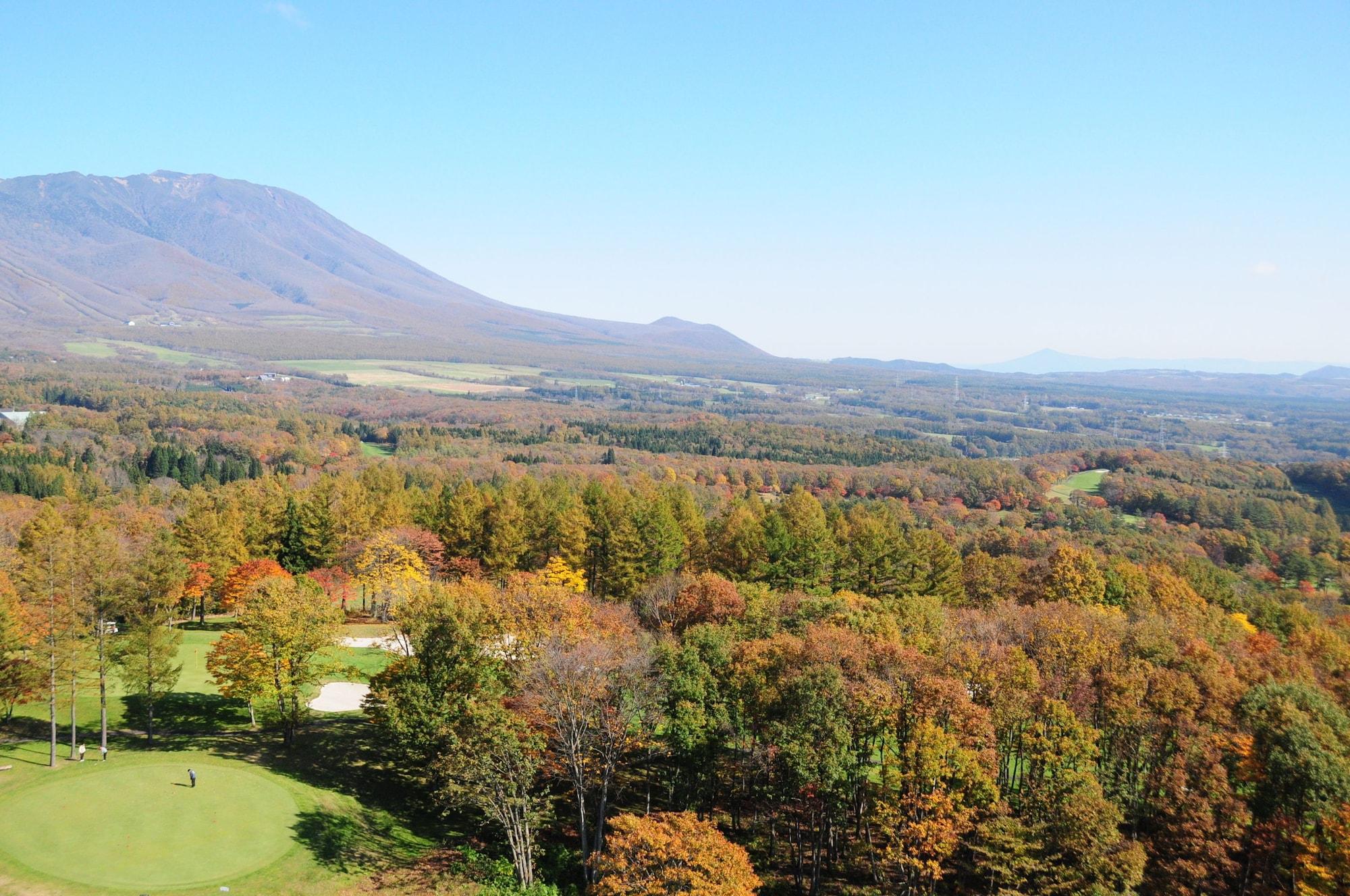 Shizukuishi Prince Hotel Екстер'єр фото