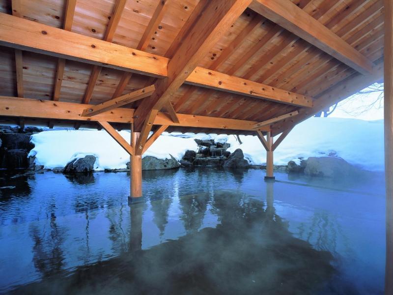 Shizukuishi Prince Hotel Екстер'єр фото